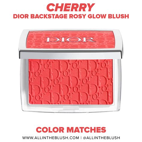 dior blush 001 pink dupe|dior blush shade cherry.